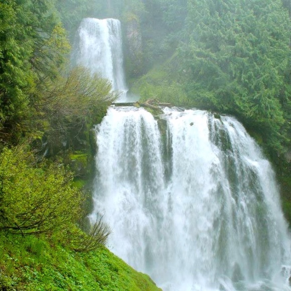 Meet your Posher, Jamie - Picture 5 of 12